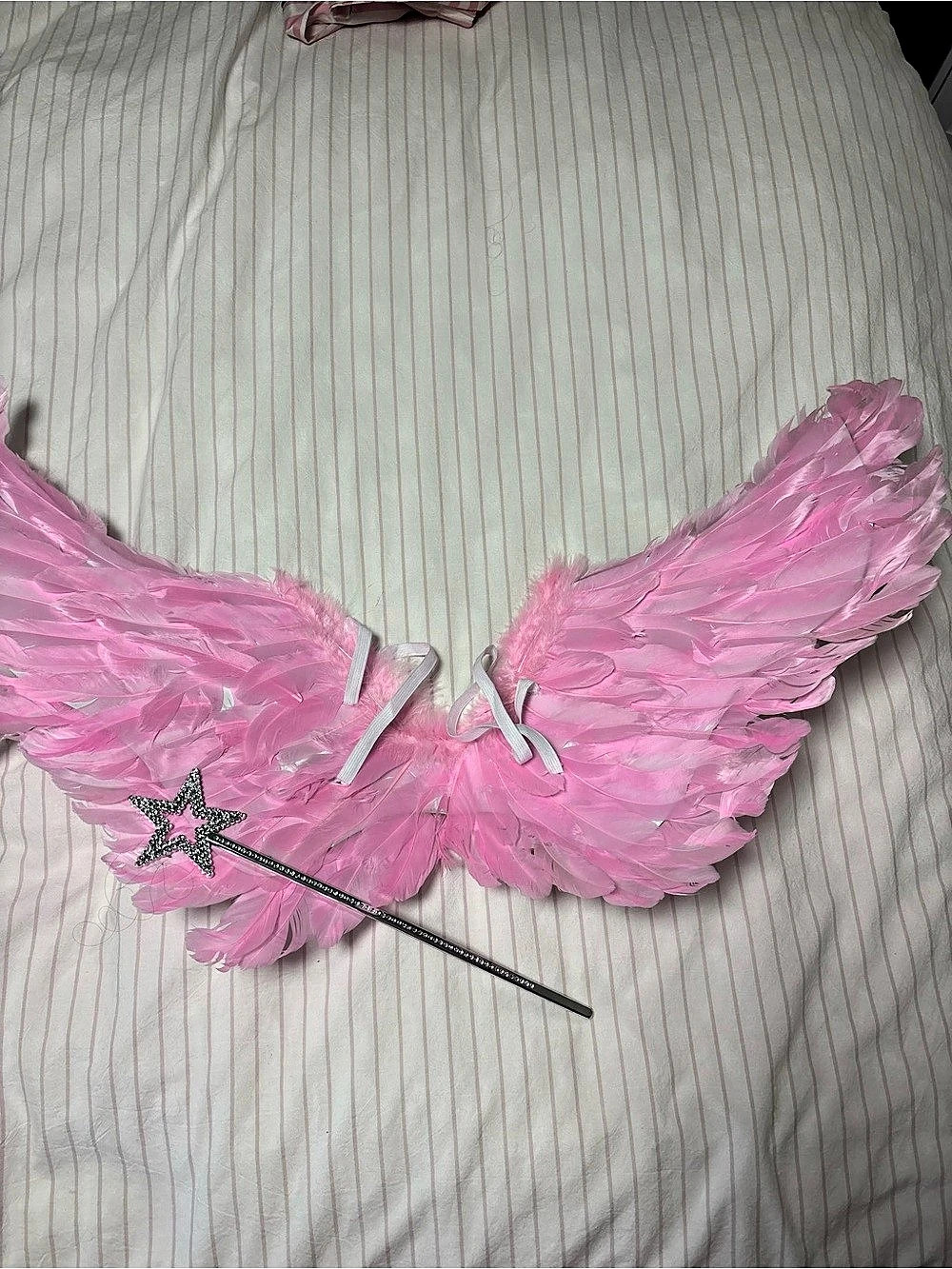 Pink Fairy Wings & Star Wand Like New